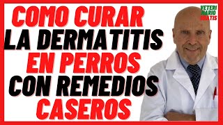 🟣 Como curar y tratar la dermatitis Atópica o Alérgica en Perros 🟣 con Remedios Caseros Naturales [upl. by Malynda563]