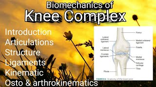 Biomechanics of knee complex details easy notes  physiotherapy BPT important topic 📝 [upl. by Euqenimod]