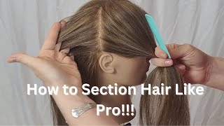 Mastering Hair Sectioning Divide Your Hair into 4 Parts Like a Pro [upl. by Yarb]