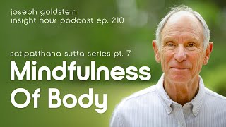 Joseph Goldsteins Satipatthana Sutta Series Pt 7 Mindfulness Of Body – Insight Hour Ep 210 [upl. by Cavanaugh257]