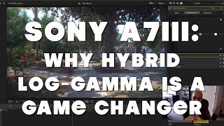 Sony A7III  Why Hybrid Log Gamma is a Game Changer [upl. by Duaner212]