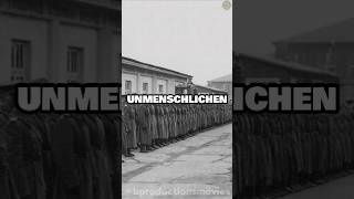 Was geschah mit deutschen Soldaten nach dem 2 Weltkrieg history facts shorts bproductions [upl. by Morra]