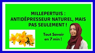 MILLEPERTUIS  Antidepresseur Naturel Infos en 7 min [upl. by Eisinger]