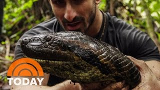 Eaten Alive By Anaconda Why I Did It  TODAY [upl. by Seek857]