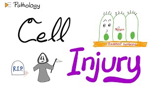 Introduction to Pathology  Cell Injury  A New Pathology Series [upl. by Craner]