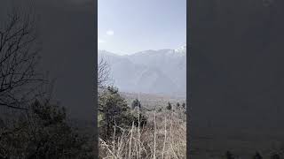 Dachigam National Park srinagar mountains park Dachigambirds sound [upl. by Nwahshar]