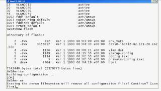 The VLANDAT File A CCNA  CCNP ThreeMinute Tutorial [upl. by Lraep]