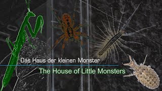 Das Haus der kleinen Monster  SPEEDY Part 2 The House of Little Monsters [upl. by Virginie35]