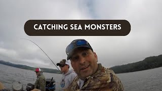 CATCHING SEA MONSTERS Sturgeon Fishin on the Columbia River [upl. by Verdi406]