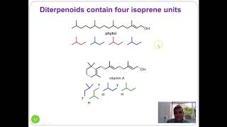 Lecture 1 Terpenes and Terpenoids [upl. by Eednas]