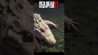 rdr2 rdr260fps rdrgameplay gaming arthurmorgan reddeadredemption [upl. by Attenrev]