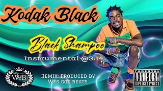 Kodak Black Black Shampoo  remix [upl. by Evelyn28]