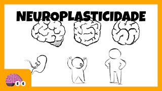 NEUROPLASTICIDADE CEREBRAL O QUE É E O QUE NÃO É [upl. by Jestude]