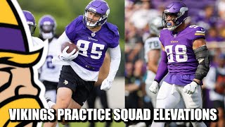 Minnesota Vikings Elevate OLB Bo Richter and TE Robert Tonyan from Practice Squad for Packers Game [upl. by Betthezel632]