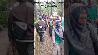 Wisata Hutan Pinus Pengger Yogyakarta [upl. by Mutua43]