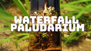 Waterfall Paludarium [upl. by Bullock]