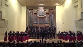 Man in the Mirror  Stellenbosch University Choir [upl. by Teagan]