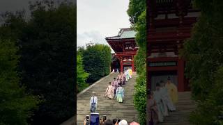 Ceremonial Procession At Tsurugaoka Hachimangu Shinto Shrine [upl. by Annalee575]