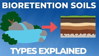 Bioretention EXPLAINED In 7 Minutes [upl. by Imeon]