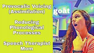 Prevocalic Voicing Phonological Process Assimilation Practice Exercises with Mrs G [upl. by Hake]