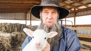 What NO HOMESTEADER talks about OFF GRID  HOMESTEADING [upl. by Alexina]