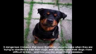 Cesar Millan Rottweiler Training Guide [upl. by Ecertap]