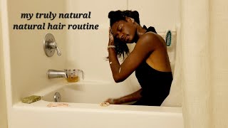 Natural Hair Routine [upl. by Ro9]