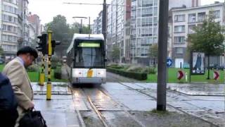 Antwerpen Hermelijn Low Floor Trams [upl. by Flyn]