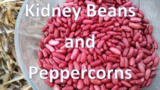 Kidney Beans and Peppercorns [upl. by Nelluc]