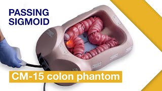 Basic Techniques of Colonoscope Insertion Ex3 Passing sigmoid colon without abdominal compression [upl. by Vel]