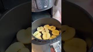 APPLE CRISPS IN THE AIR FRYER  HEALTHY SNACK IDEAS [upl. by Bathesda]