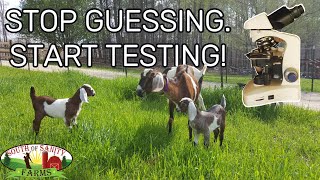 How to do a Fecal Test on Your Goats to Keep Them Healthy [upl. by Kone]