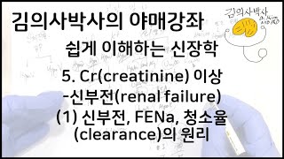 쉽게 이해하는 신장학5Crcreatinine 이상신부전renal failure 1 신부전 FENa 청소율clearance의 원리 김의사박사의 야매강좌 [upl. by Aigroeg]