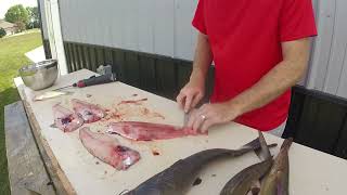 Filleting catfish to make them taste good [upl. by Yarw]