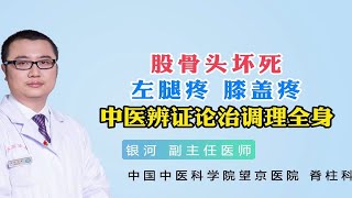 股骨头坏死，左腿疼 膝盖疼，中医辨证论治调理全身 [upl. by Nosyarg]