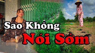 Sao Không Nói Sớm videogiaitri vochongson nguyenhuyvlog [upl. by Ades]