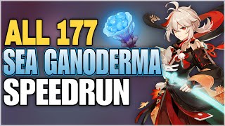 All Sea Ganoderma Locations  Efficient Farming Route  Kazuha Ascension Materials  Genshin Impact [upl. by Erdei]