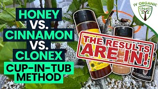 How To Root Cuttings  Honey vs Cinnamon vs CloneX  THE RESULTS ARE IN [upl. by Elizabet]