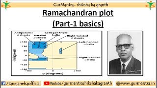 RAMACHANDRAN PLOT BASICS HOW TO READ RAMACHANDRAN PLOT PART1 [upl. by Oihsoy339]