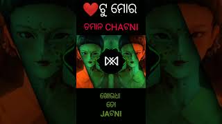 NALI PANA TU MORA CHAMANA CHATANI REMIX [upl. by Ellitnahc]