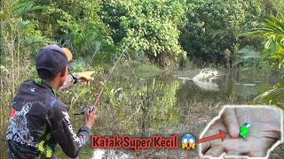 TANTANGAN  Mancing Pakai Katak Yang Sangat Kecil 😱 [upl. by Suivatram916]