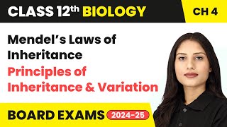 Mendel’s Laws of Inheritance  Principles of Inheritance and Variation  Class 12 Biology Chapter 4 [upl. by Nicks]