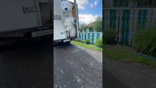 Эффектное Появление😮 Белый Медведь Сюрприз Из Грузовика🚙 bear белыймедведь праздник шок shorts [upl. by Placia]