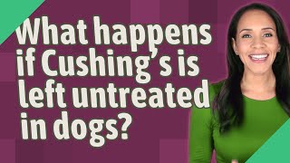 What happens if Cushings is left untreated in dogs [upl. by Mariann]