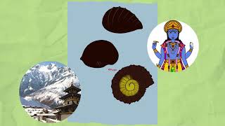 Muktinath Nepal Story of Shaligram  story of TulsiVrinda [upl. by Enyedy941]