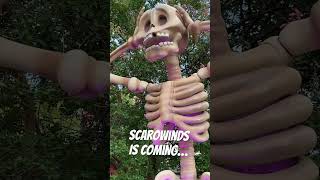 SCAROWINDS is coming to Carowinds The Halloween decorations are going up shorts themepark [upl. by Eustasius261]