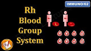 Rh Blood Group System FLImmuno62 [upl. by Ennairrek]