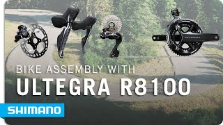 BIKE ASSEMBLY FEAT ULTEGRA R8100 GROUPSET  SHIMANO [upl. by Aneala]