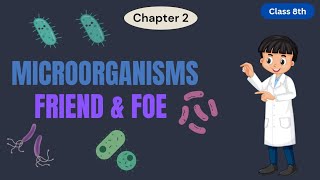 Class  8 Science Chapter 2  Microorganism Friend and Foe Full chapter explain [upl. by Phene399]