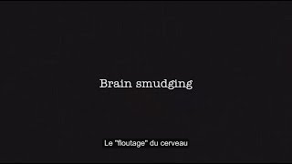 Expliquer la notion de « floutage cérébral » Brain smudging with French subtitles [upl. by Thalia]